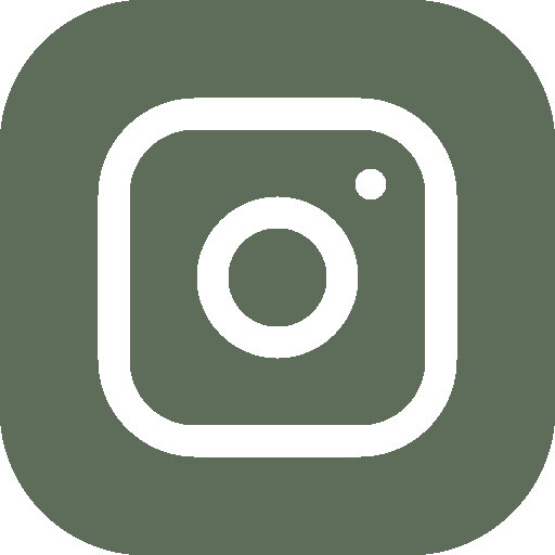 Instagram icon