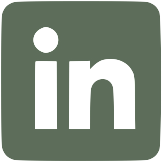 LinkedIn icon