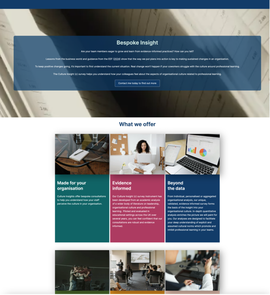 website page showing Culture Insight website